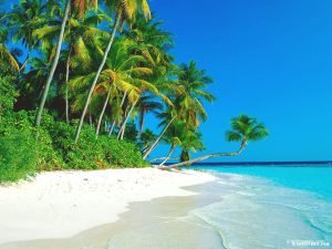 beach background