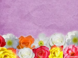 colorful flower background