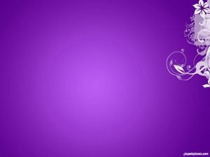 elegant background