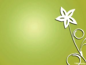 flower background for powerpoint