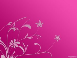 flower pink background