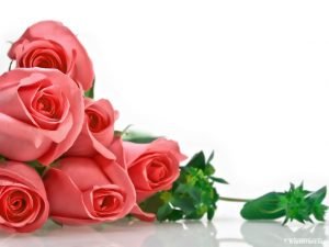 red rose background for powerpoint