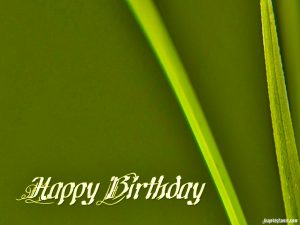birthday green background