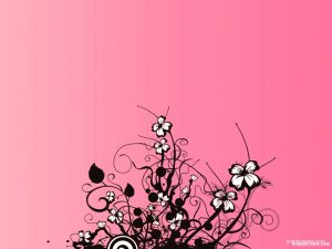flower on pink background