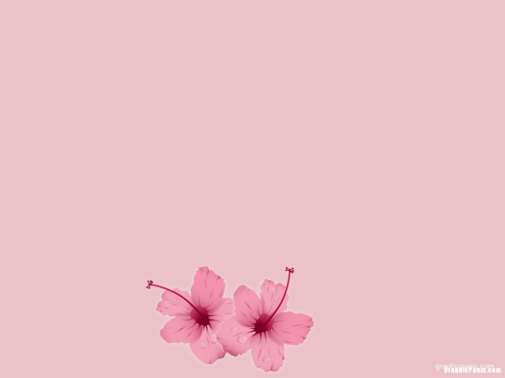 girly pink background